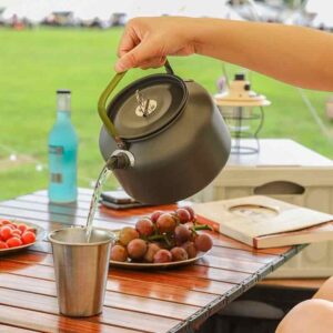 Stovetop tea kettle